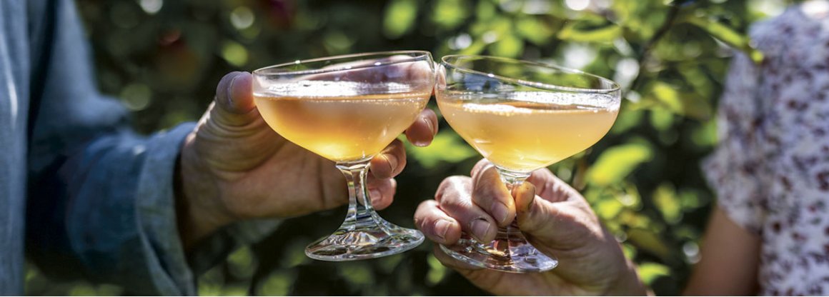 Din fest eller forsamling på gården