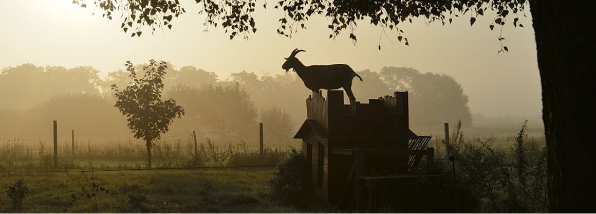 Læs mere om gården