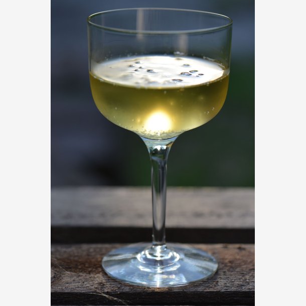 kologisk Belle Cider 2019