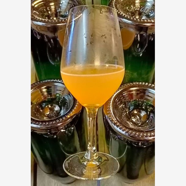 kologisk DiscoVery Cider 2020